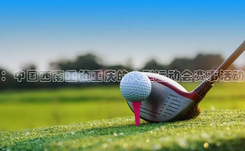 熊猫体育官网首页入口颐驰 06