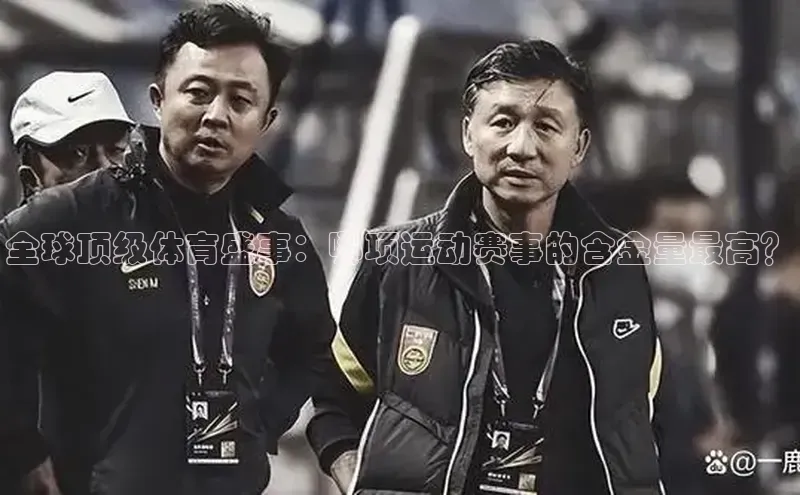 熊猫体育平台官网小度商城