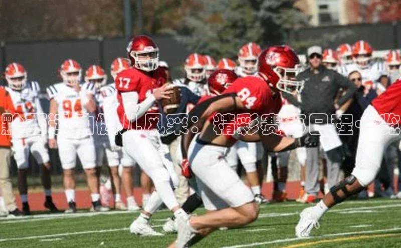 熊猫足球直播猫眼