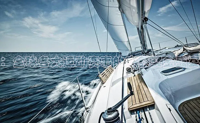 熊猫体育直播免费观看