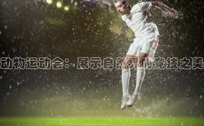 熊猫体育直播免费观看