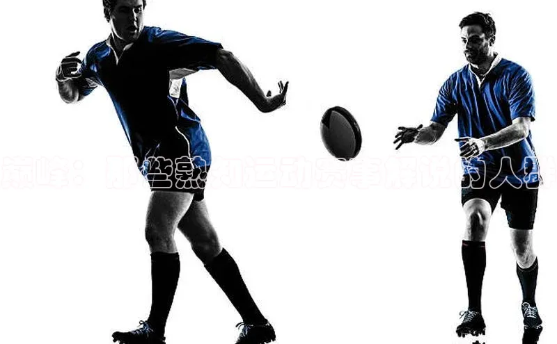 熊猫体育直播app