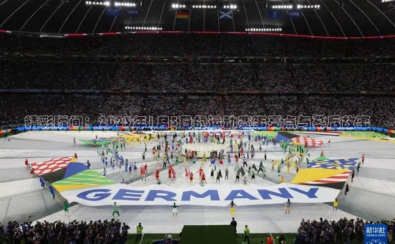 熊猫体育直播app下载