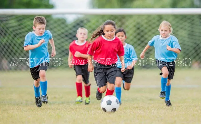 熊猫体育app官方入口